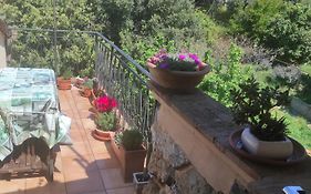 Casa Dei Nonni 57021