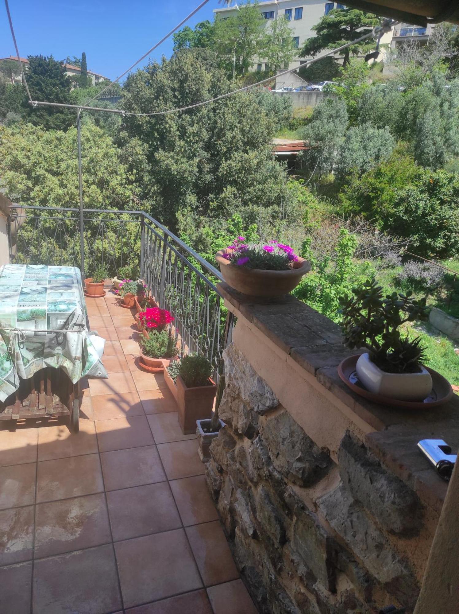 Appartamento Casa Dei Nonni 57021 Campiglia Marittima Esterno foto